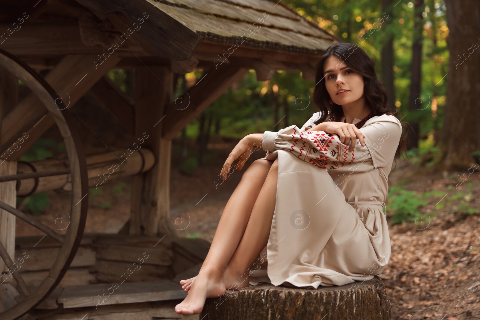 Photo of Beautiful woman wearing embroidered dress sitting near old wooden well in countryside. Ukrainian national clothes