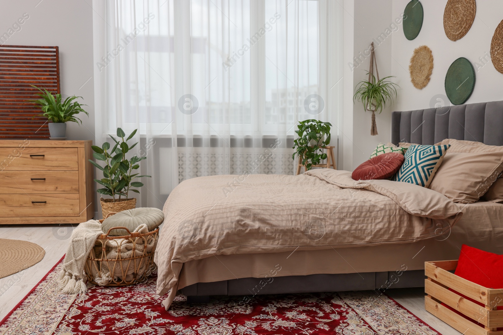 Photo of Large comfortable bed and potted houseplants in stylish bedroom. Interior design