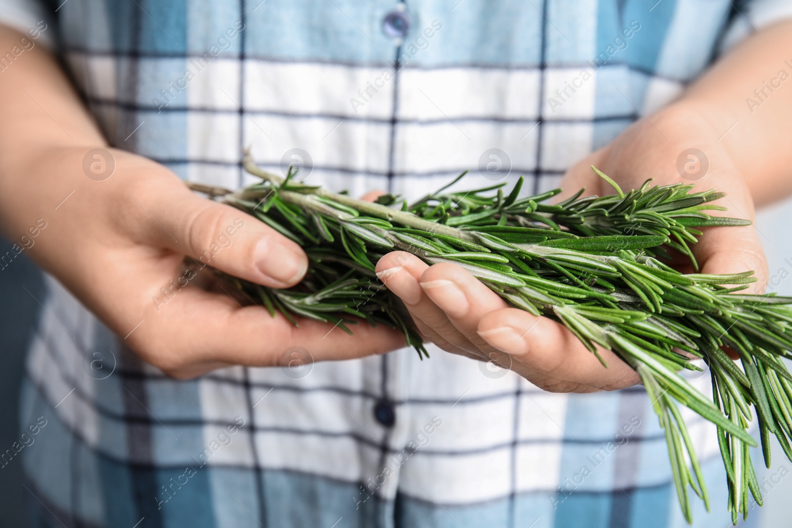 Photo of Young woman holding bunch of fresh rosemary, closeup