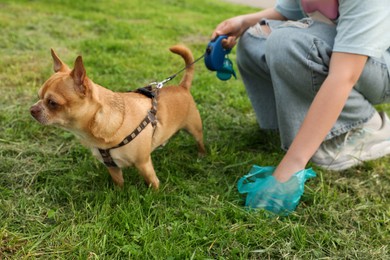 Woman picking up her dog's poop from green grass, closeup