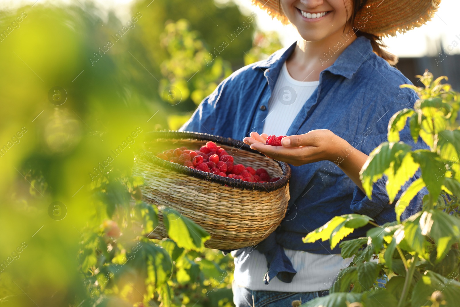 Photo of Woman holding wicker basket with ripe raspberries outdoors, closeup