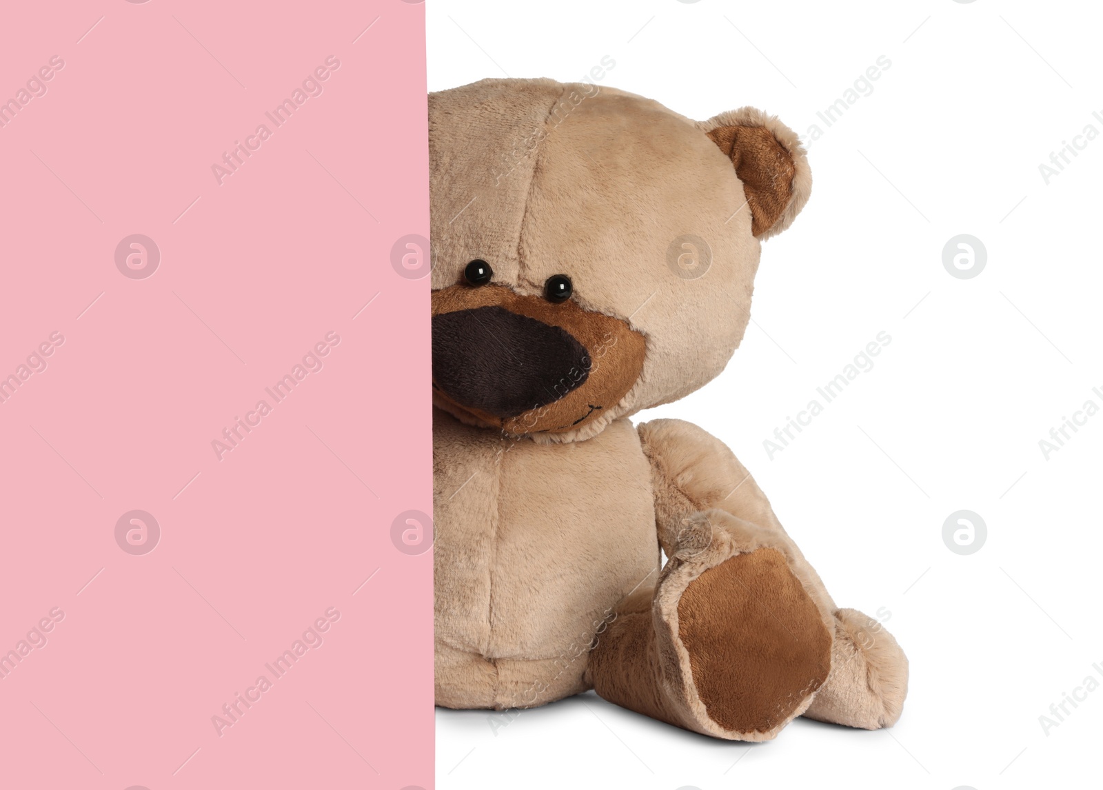 Photo of Cute teddy bear peeking out of blank card on white background