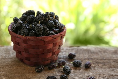 Photo of Wicker basket with delicious ripe black mulberries on wooden table against blurred background, space for text