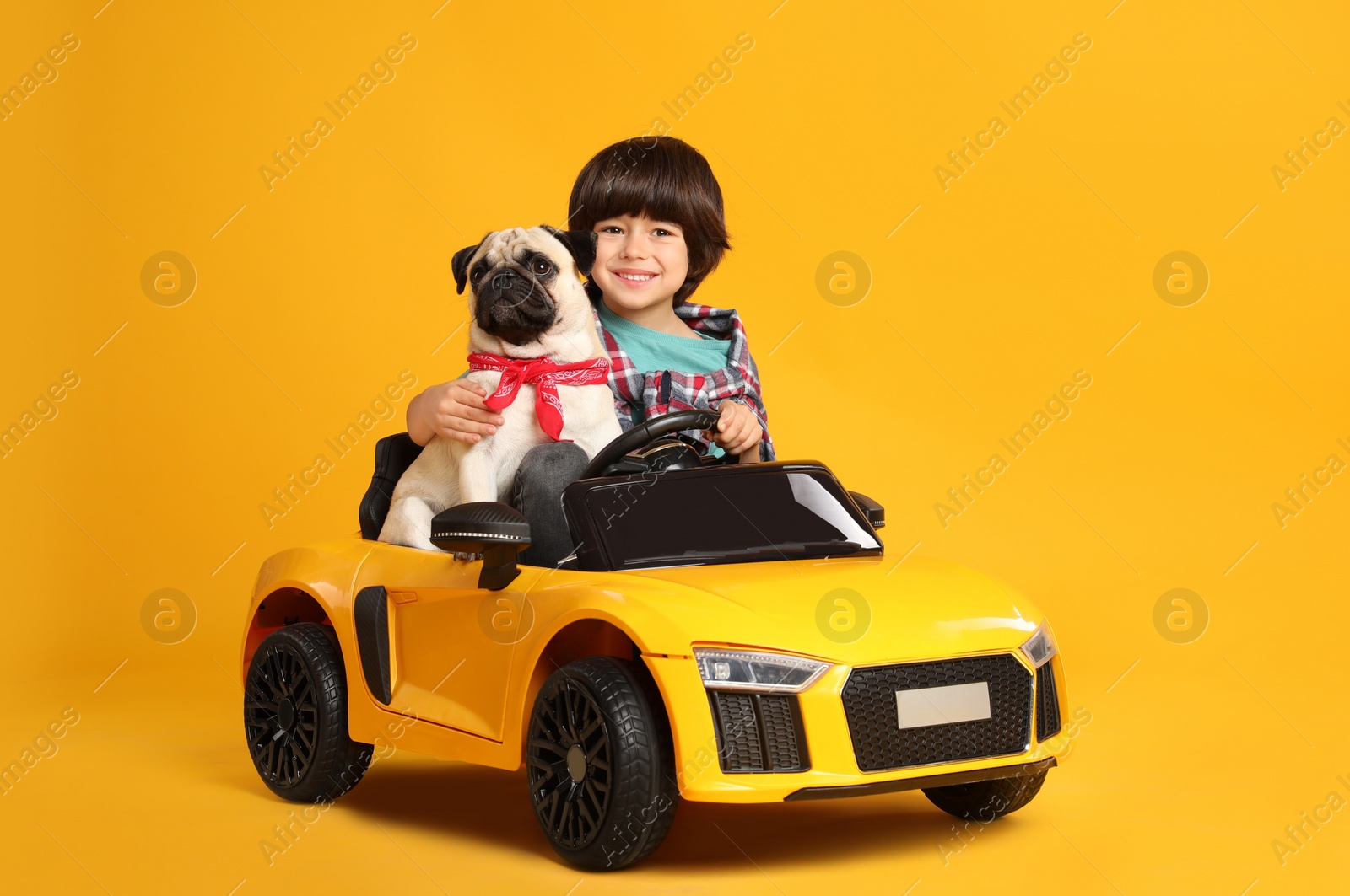 Photo of Little boy with his dog in toy car on yellow background