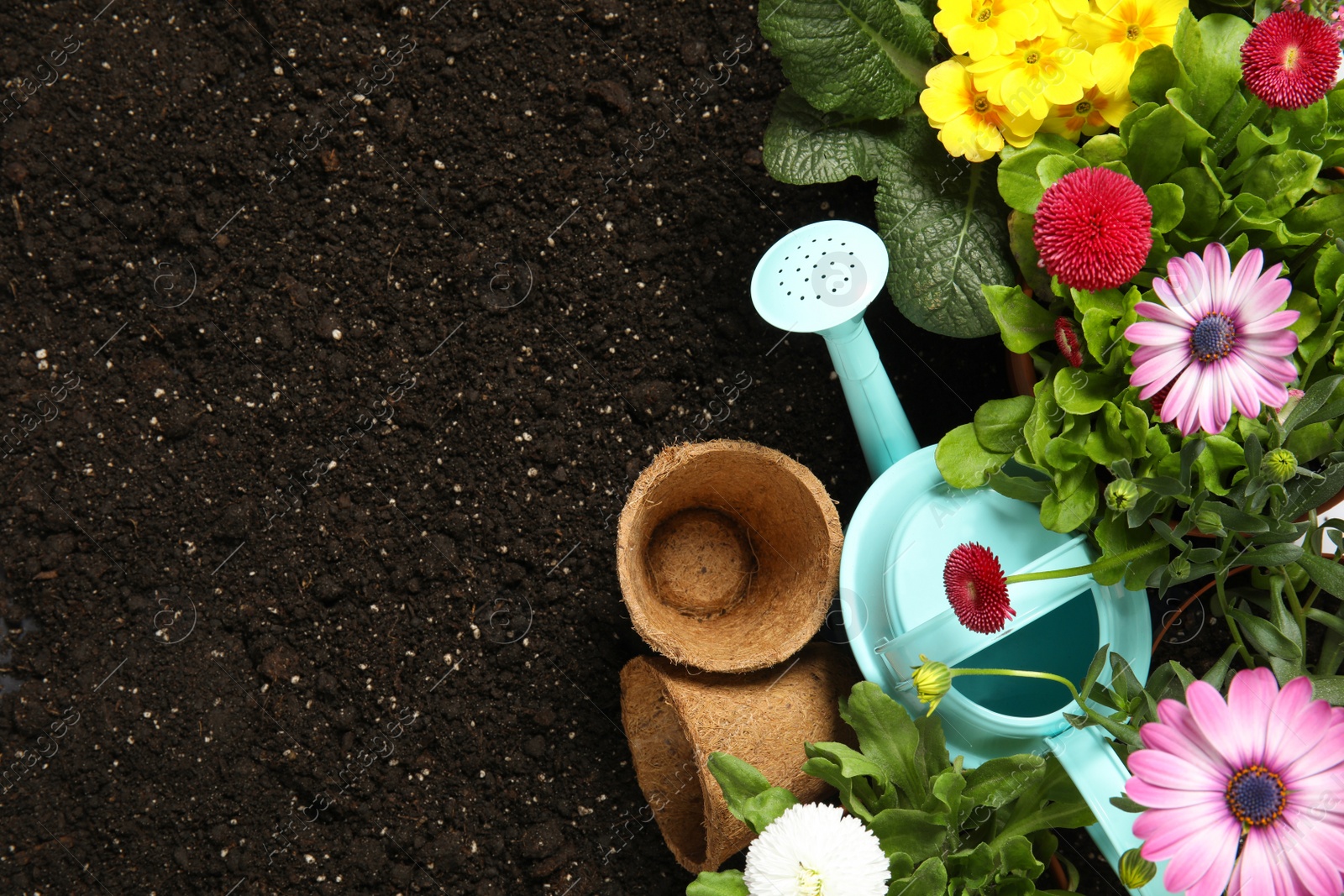 Photo of Flat lay composition with gardening equipment and flowers on soil, space for text