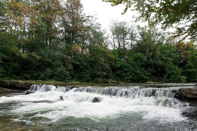 Photo of Picturesque view of beautiful river flowing near forest