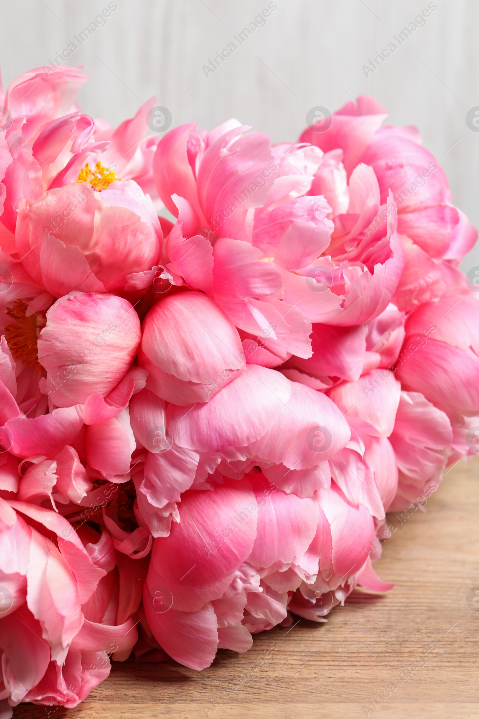 Photo of Beautiful pink peonies on wooden table, closeup