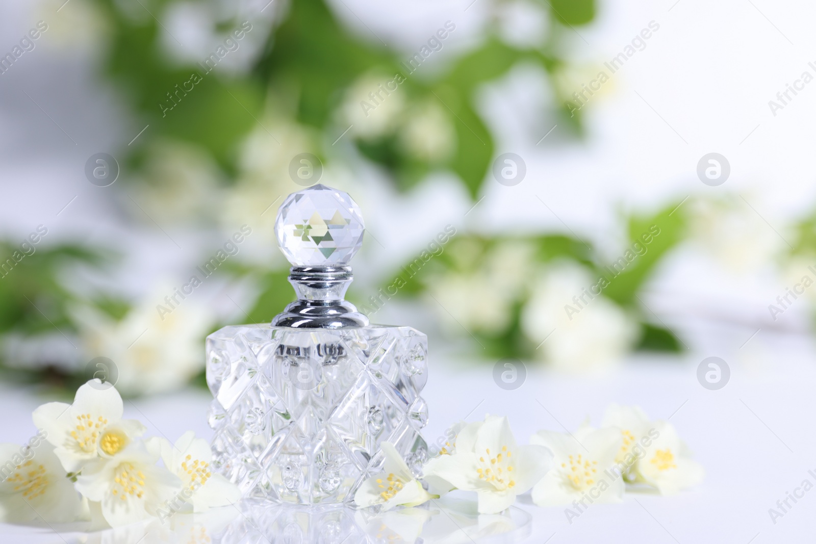 Photo of Aromatic perfume in bottle and beautiful jasmine flowers on white background