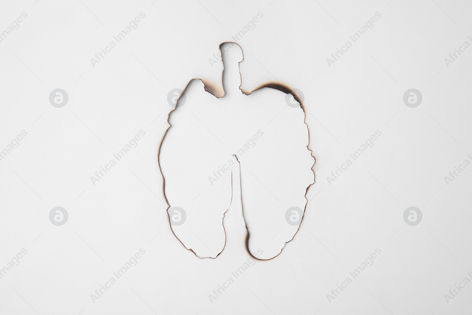 Photo of No smoking concept. Lungs with burnt borders made of paper on white background, top view