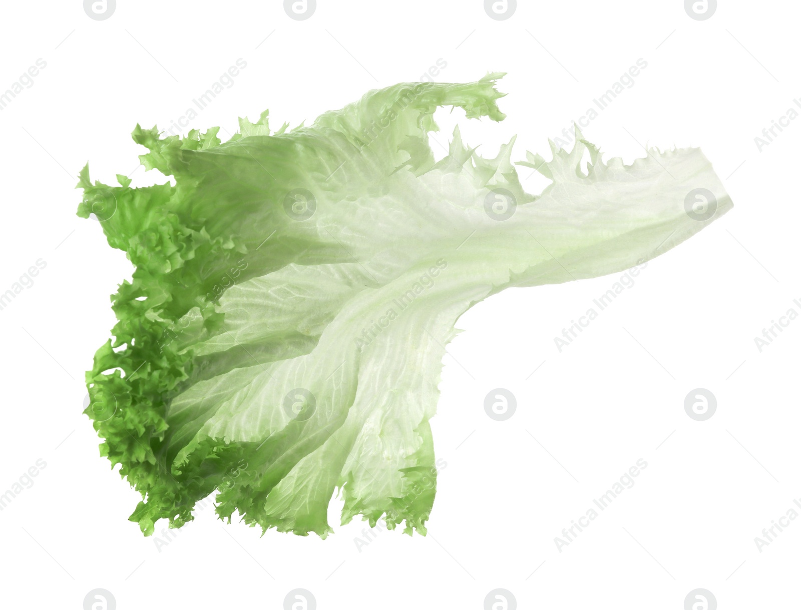 Photo of Fresh green lettuce leaf isolated on white