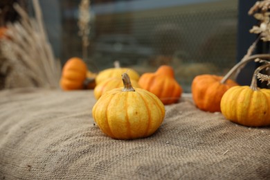 Photo of Many pumpkins on burlap fabric outdoors, closeup