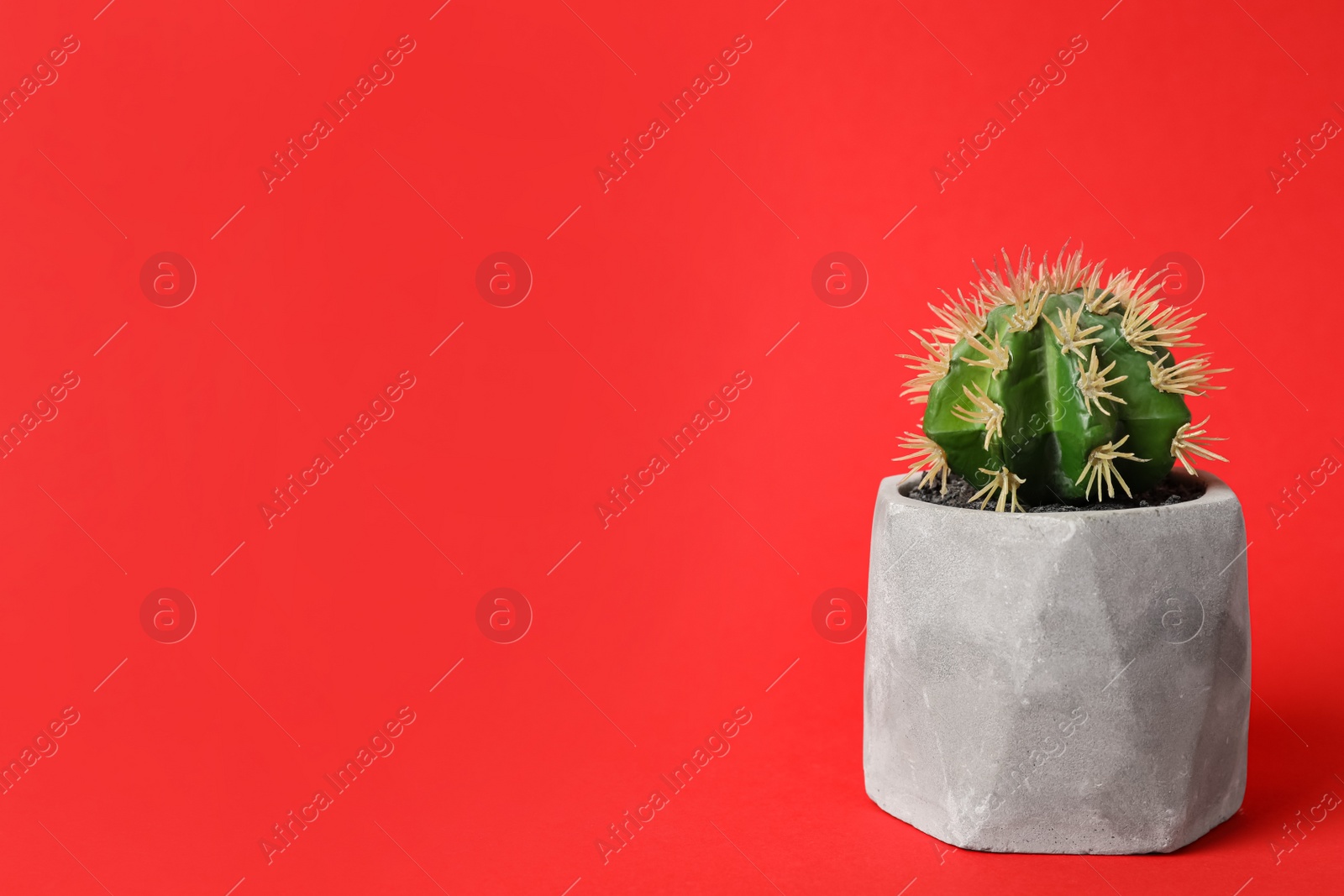 Photo of Beautiful artificial plant in flower pot on red background, space for text