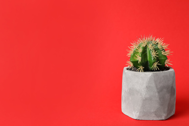 Photo of Beautiful artificial plant in flower pot on red background, space for text