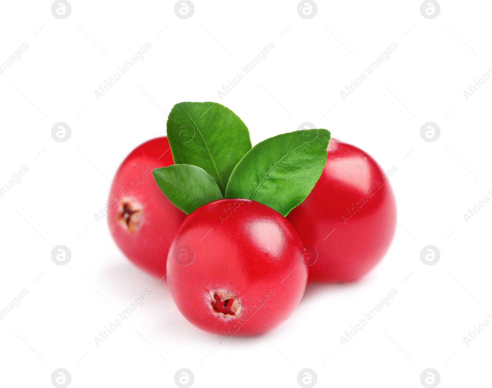 Image of Fresh ripe red cranberries and green leaves on white background