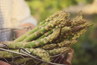 Metal basket with fresh raw asparagus outdoors, closeup