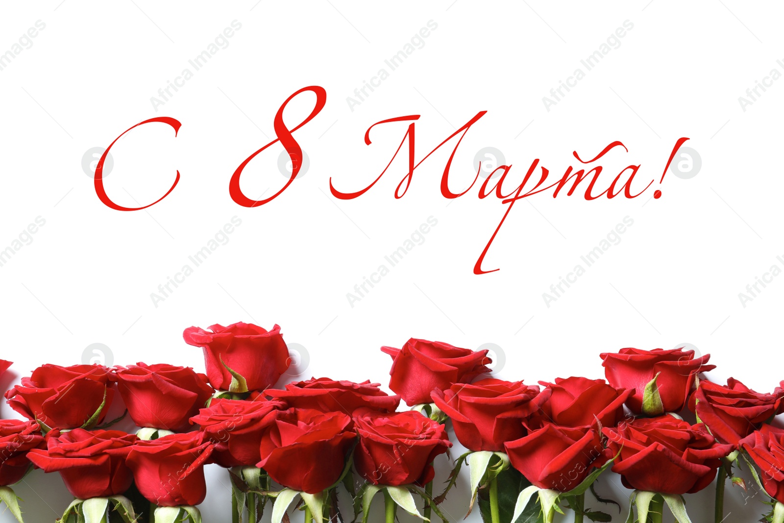 Image of International Women's Day greeting card design. Beautiful red roses and text Happy 8 March written in Russian on white background, flat lay