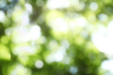 Blurred view of abstract green background. Bokeh effect