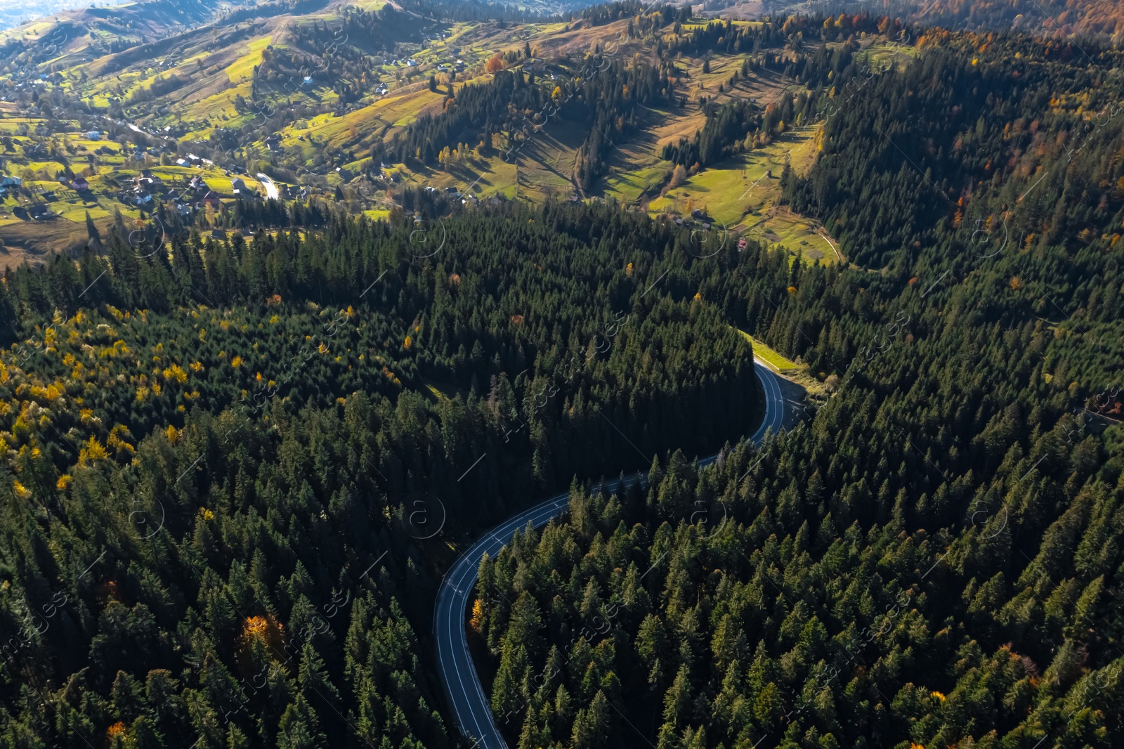 Image of Aerial view of asphalt road surrounded by coniferous forest on sunny day. Drone photography