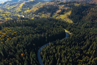 Image of Aerial view of asphalt road surrounded by coniferous forest on sunny day. Drone photography