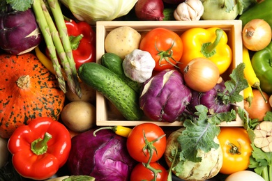 Many fresh ripe vegetables as background. Organic food