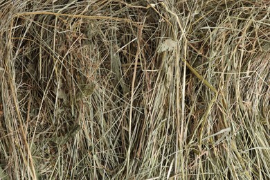 Photo of Pile of dried hay as background, top view