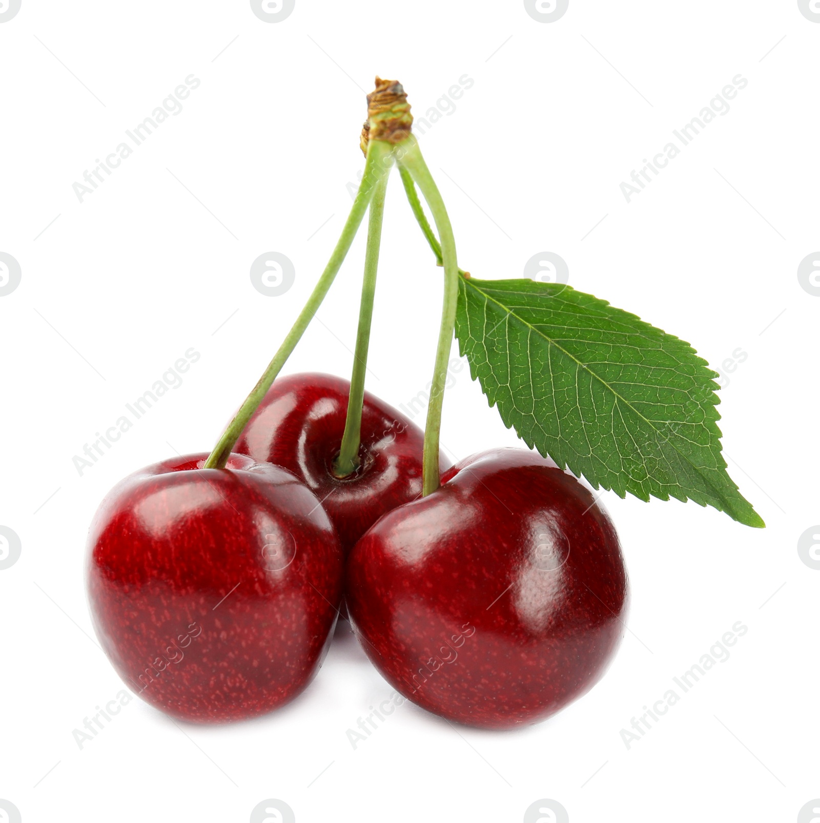 Photo of Delicious ripe sweet cherries on white background