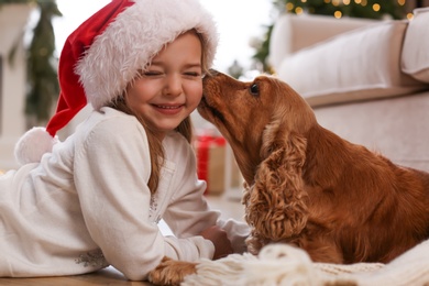 Photo of Cute little girl in Santa hat with English Cocker Spaniel at home. Christmas celebration