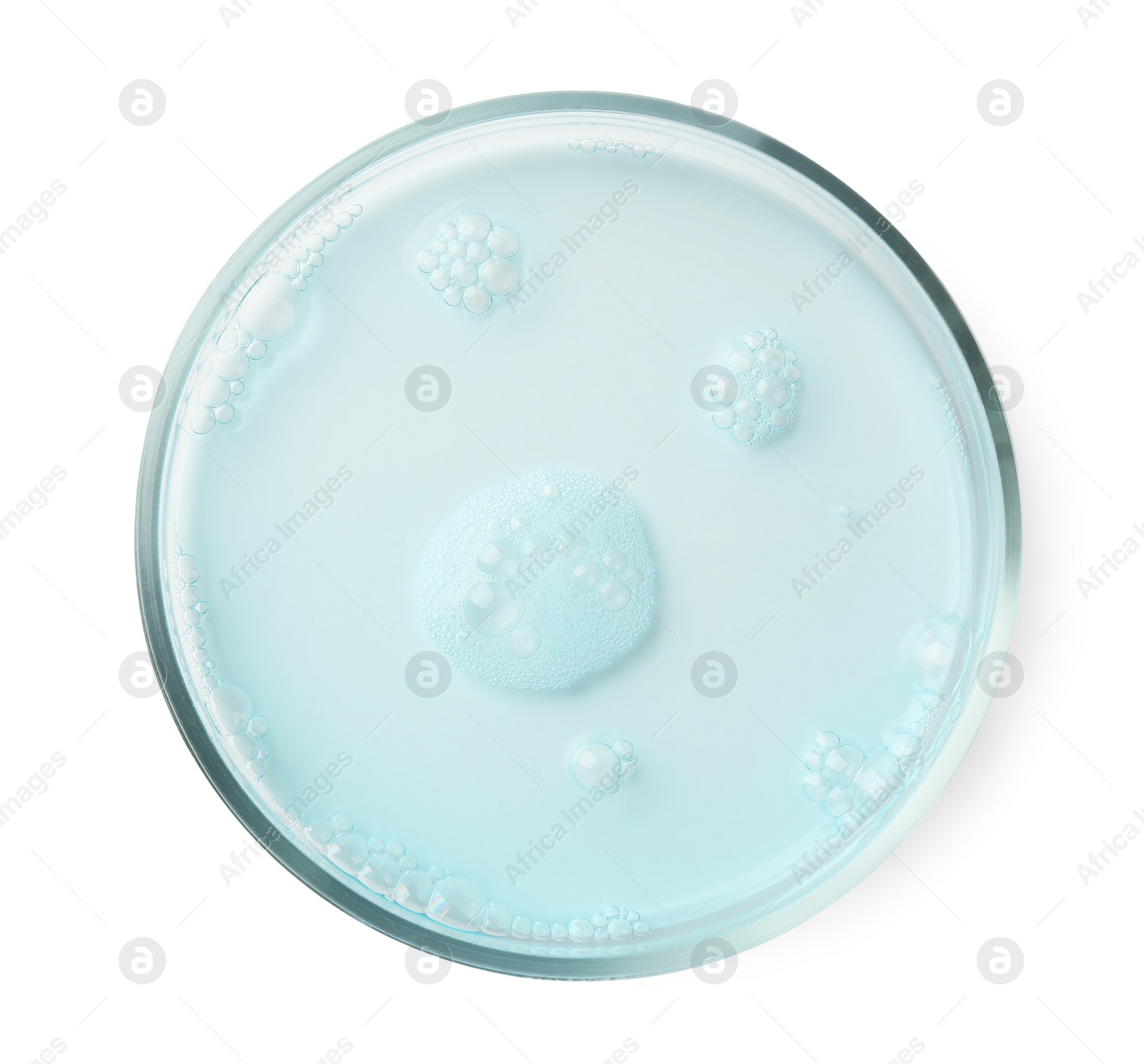 Photo of Petri dish with light blue liquid sample on white background, top view