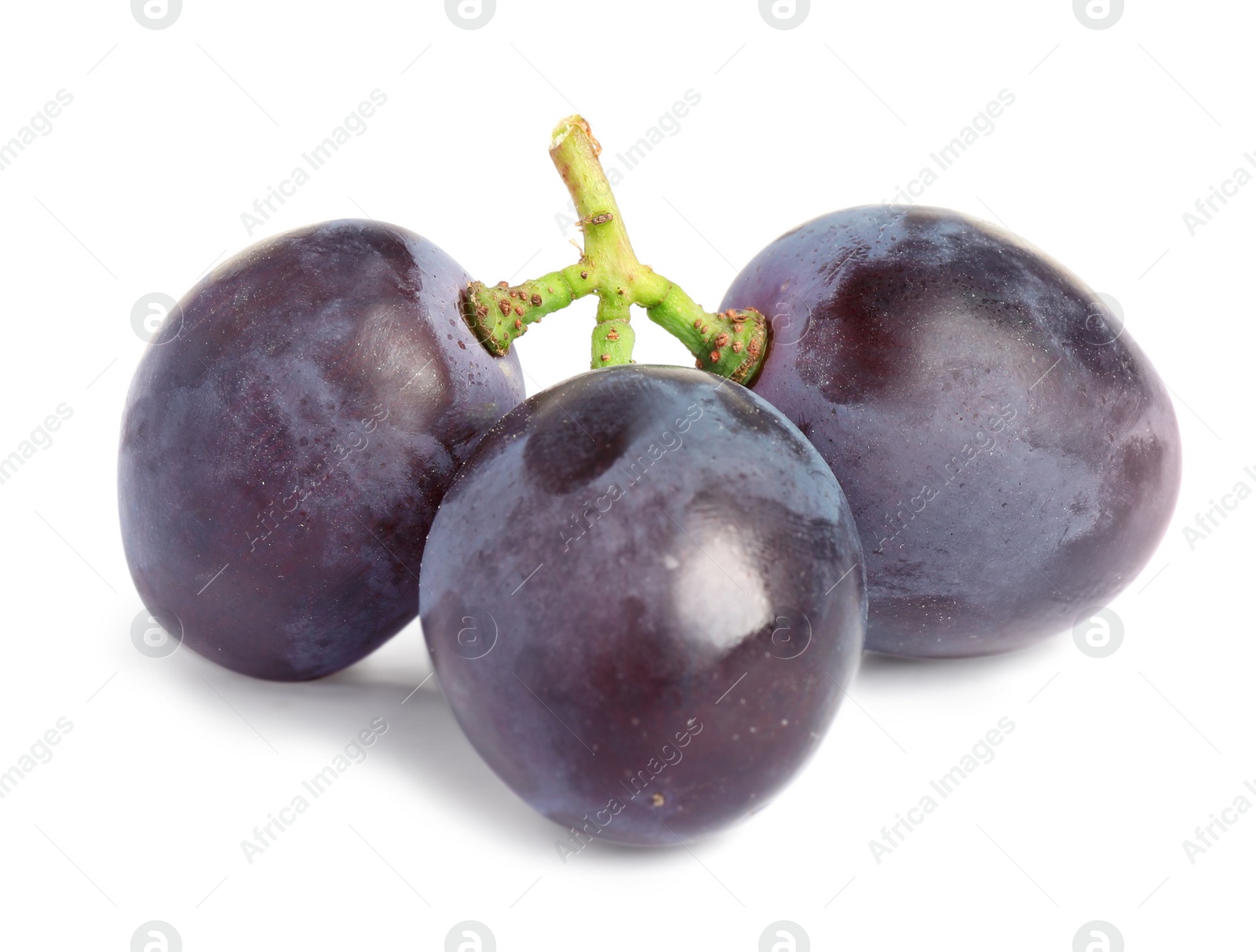 Photo of Fresh ripe juicy black grapes isolated on white