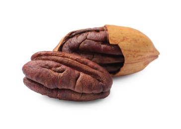 Photo of Two tasty pecan nuts isolated on white