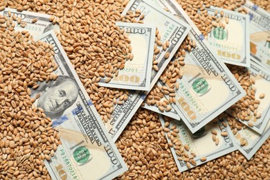 Dollar banknotes on wheat grains, closeup. Agricultural business