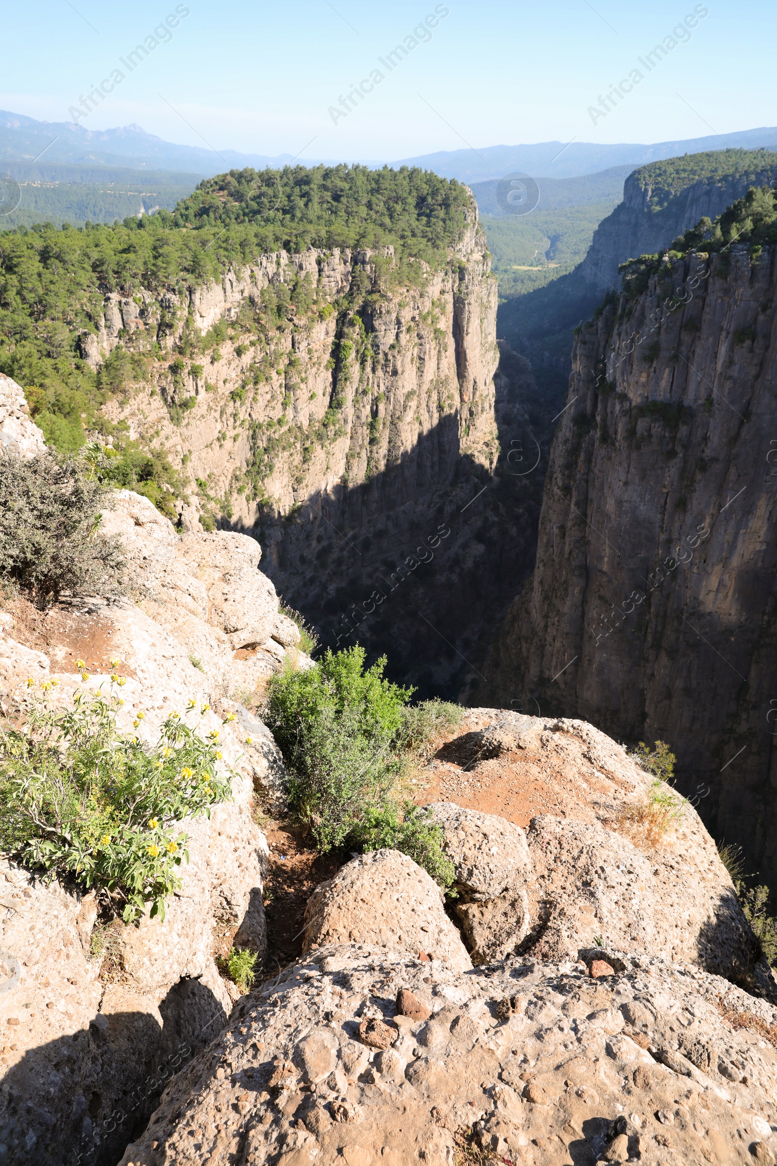 Photo of Beautiful landscape with canyon on sunny day