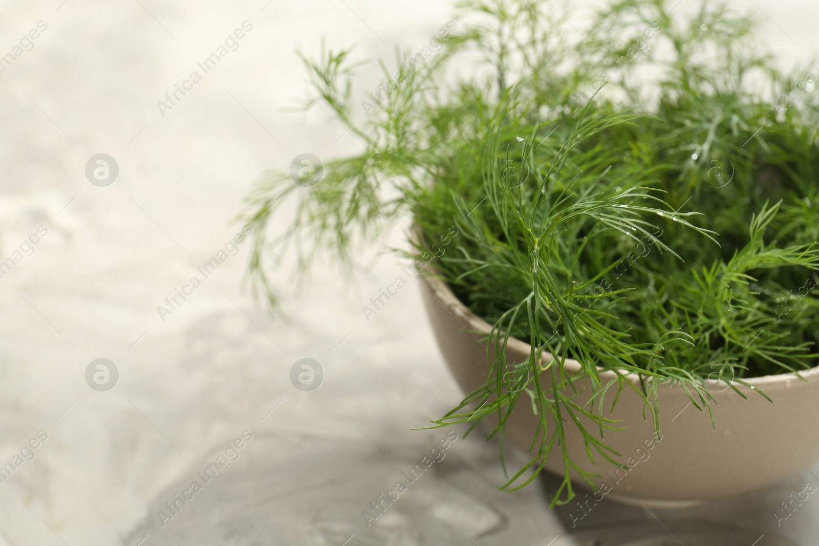 Photo of Bowl of fresh green dill on light grey table, closeup. Space for text