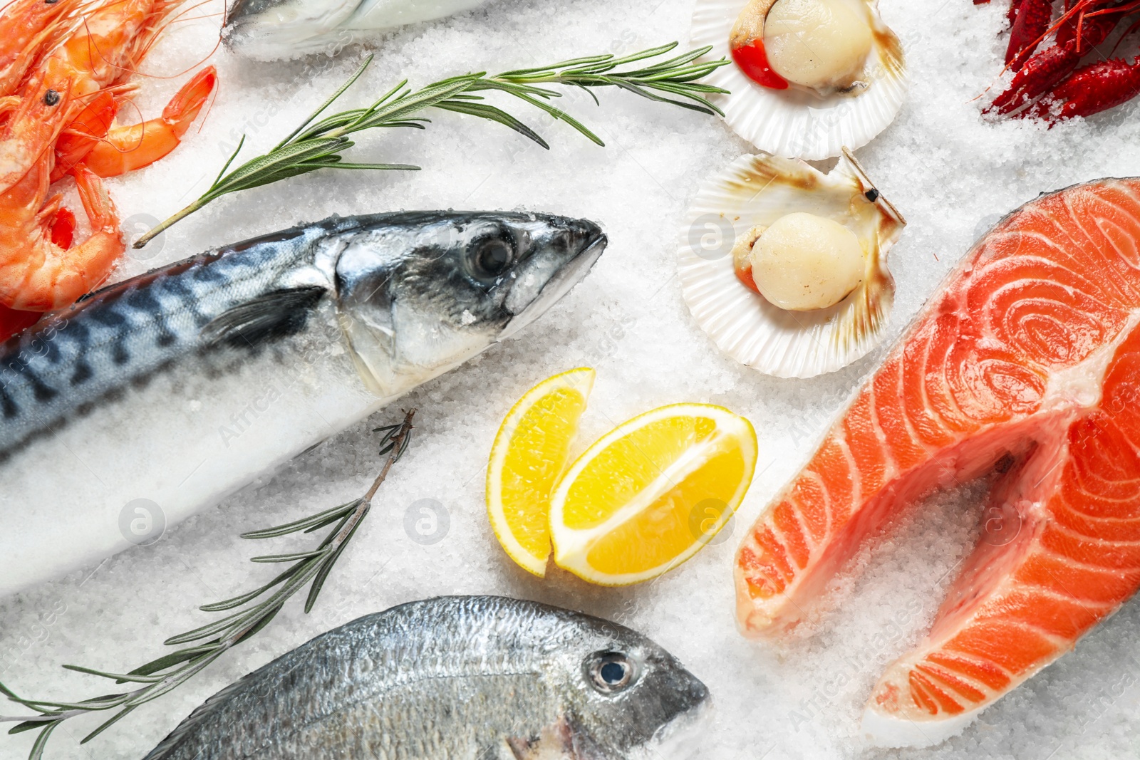 Photo of Fresh fish and seafood on ice, flat lay