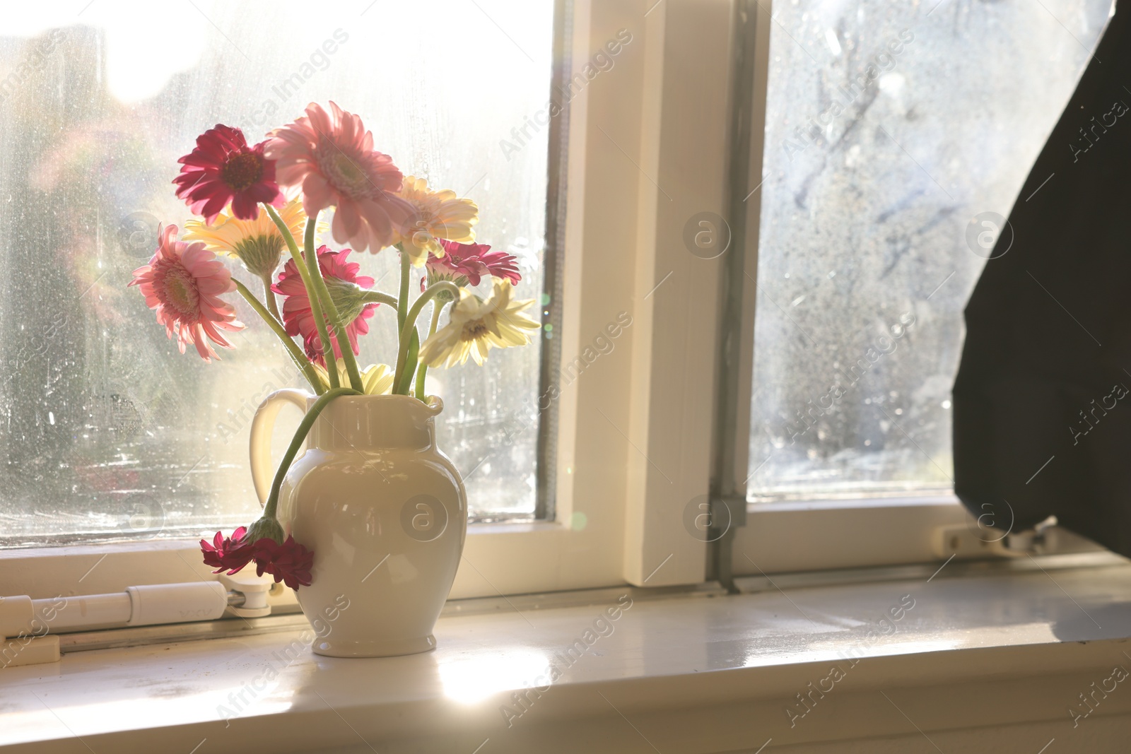 Photo of Jug with beautiful gerbera flowers on windowsill indoors. Space for text