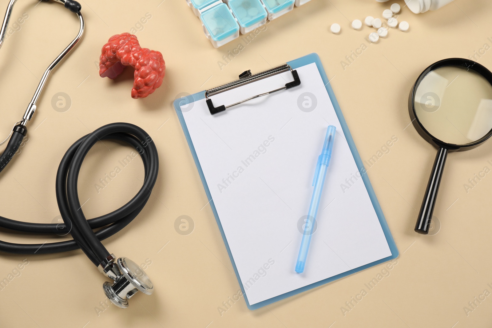 Photo of Endocrinology. Flat lay composition with clipboard and model of thyroid gland on beige background