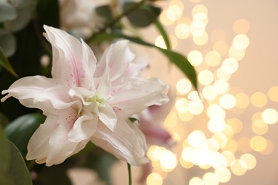 Beautiful lily flower against beige background with blurred lights, closeup. Space for text