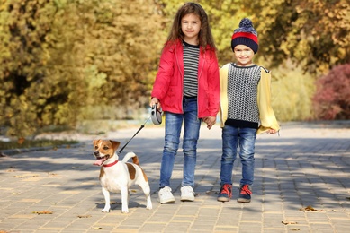 Photo of Cute children with dog in park. Autumn walk