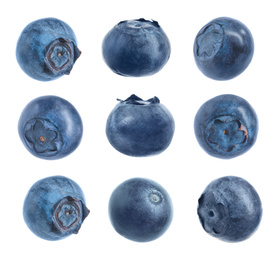 Set of fresh blueberries on white background