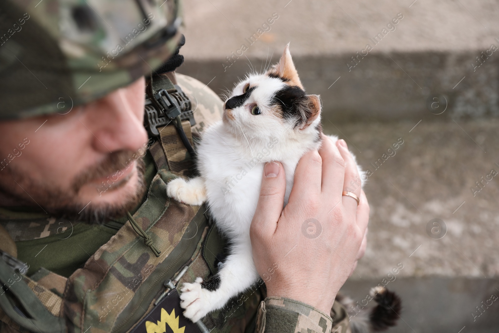 Photo of Ukrainian soldier with stray cat outdoors, closeup