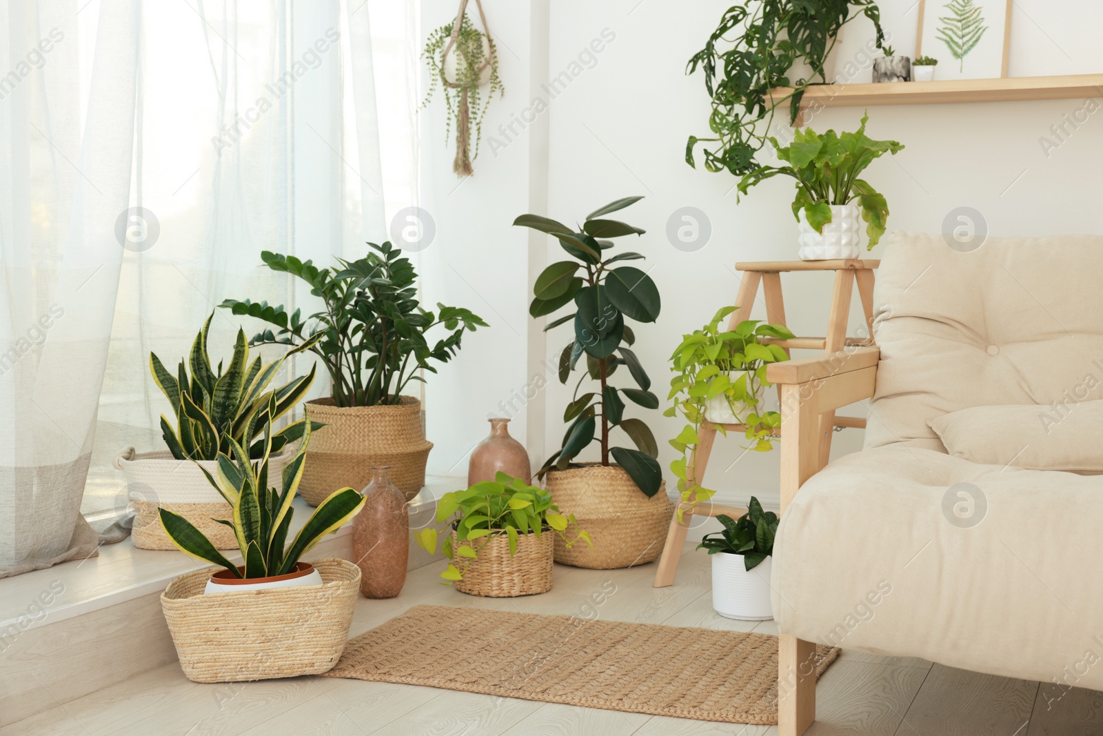 Photo of Many beautiful houseplants in light room. Interior design