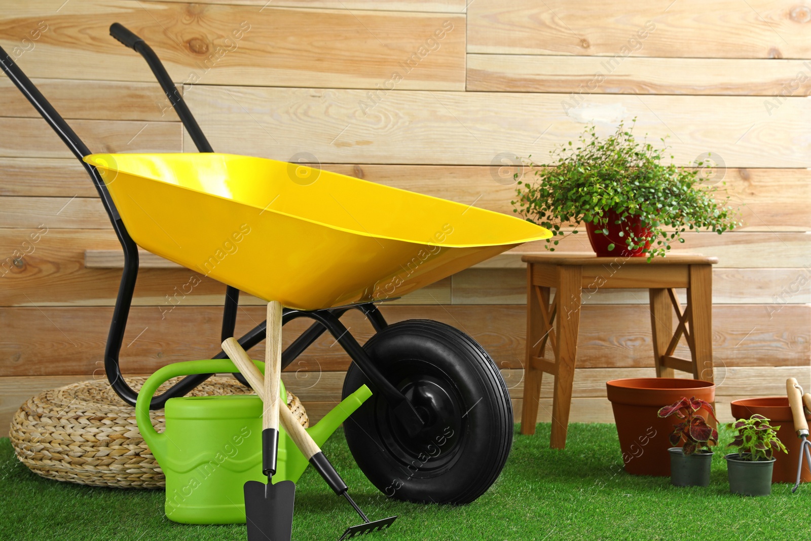 Photo of Wheelbarrow with gardening tools and plants near wooden wall