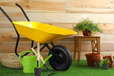 Wheelbarrow with gardening tools and plants near wooden wall