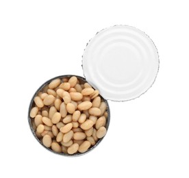 Tin can with kidney beans on white background, top view