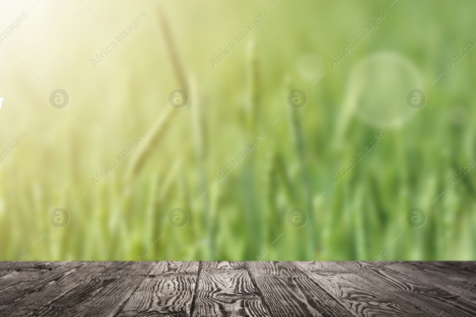 Image of Empty wooden surface and blurred view of wheat field on sunny day. Space for text