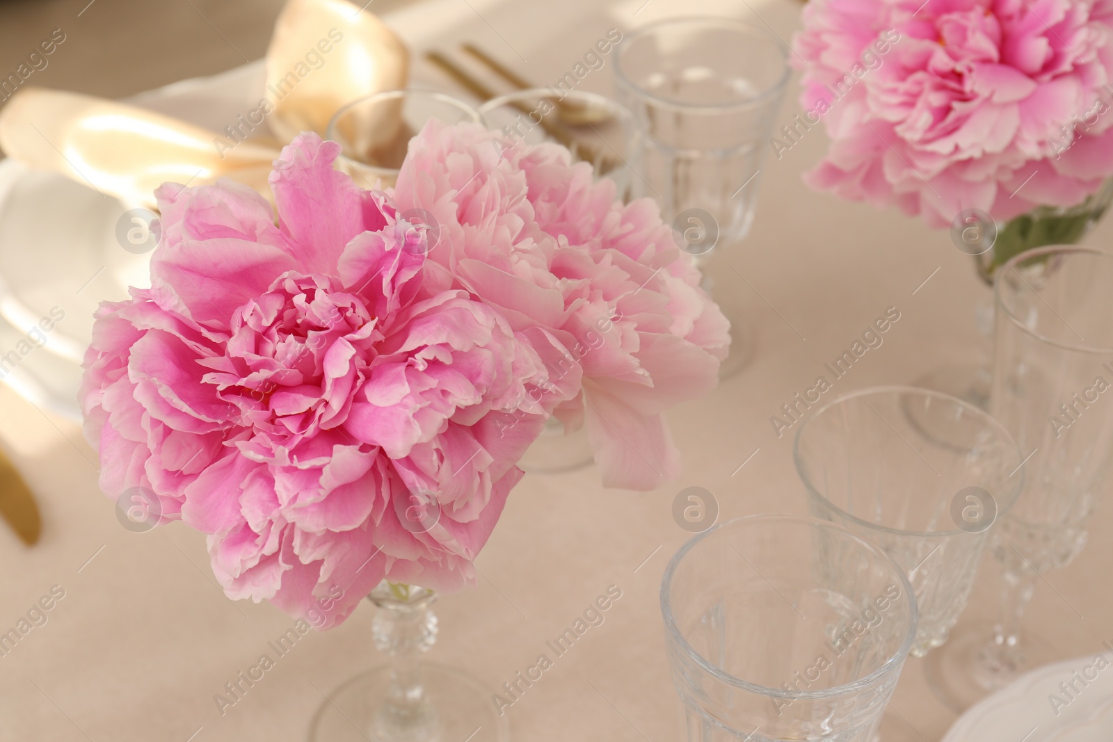 Photo of Stylish table setting with beautiful peonies. Space for text