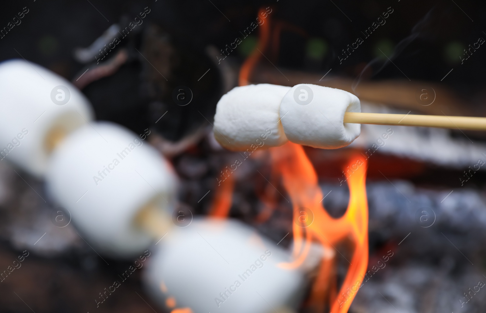 Photo of Delicious puffy marshmallows roasting over bonfire, closeup