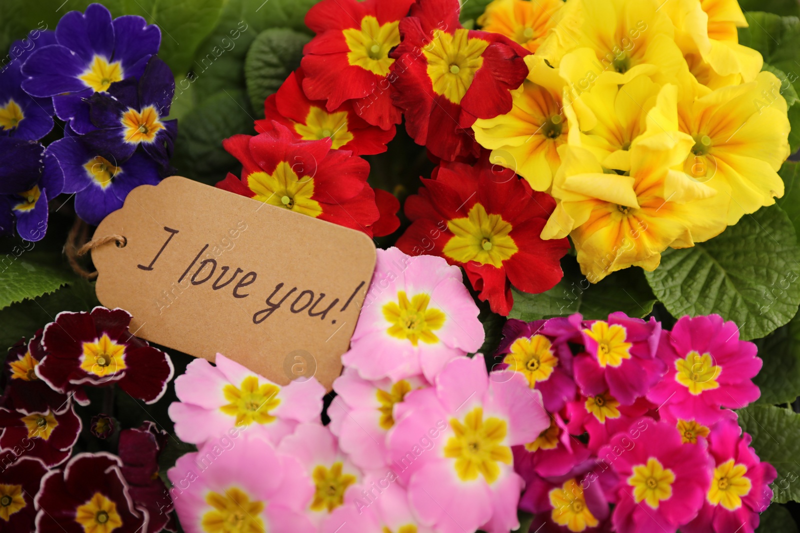 Photo of Tag with handwritten text I Love You on bright flowers, closeup