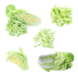 Image of Set of fresh ripe Chinese cabbages on white background, top view