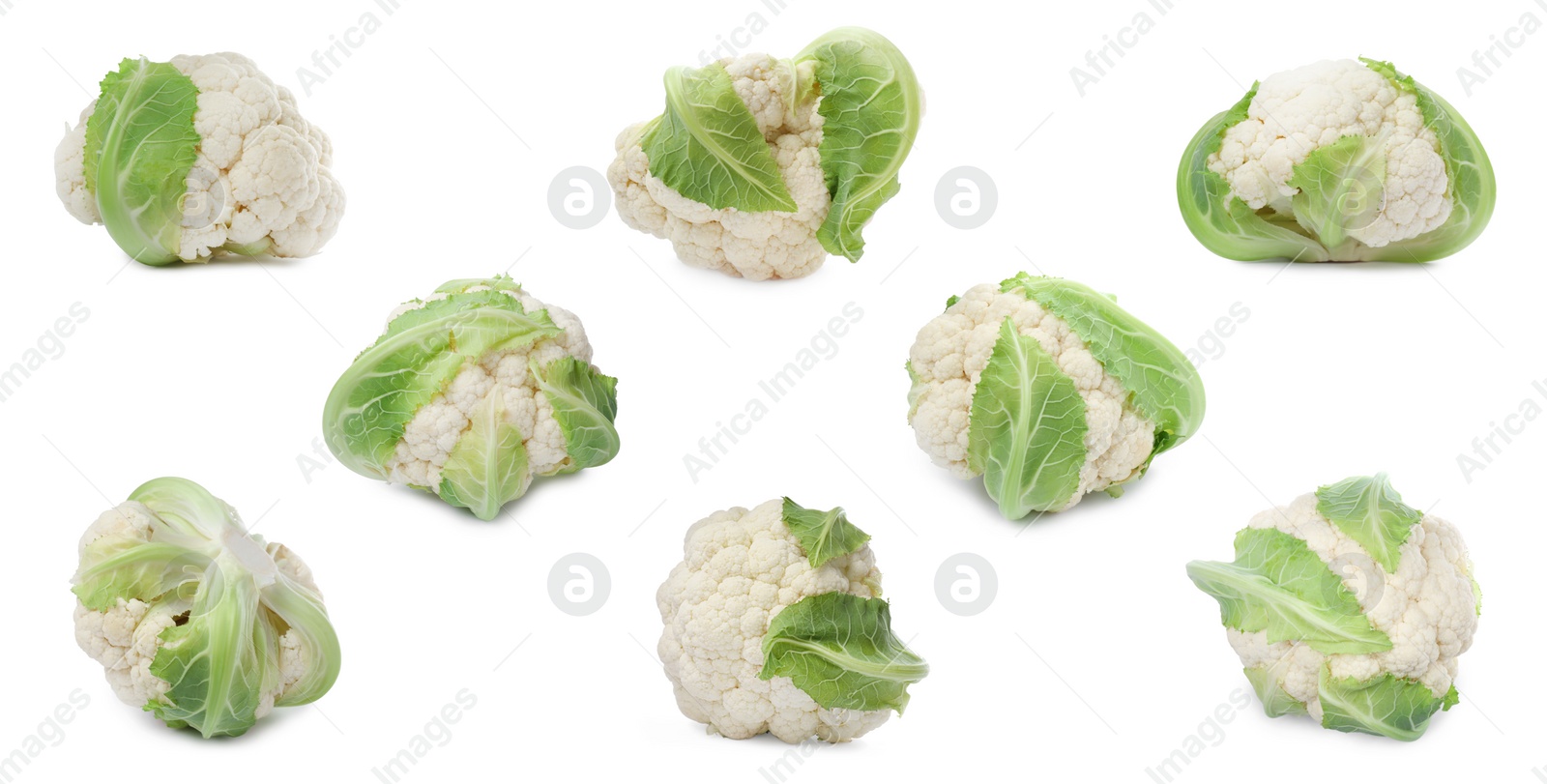 Image of Collage of whole fresh raw cauliflowers on white background